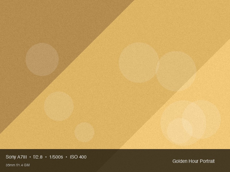 Sample photo analysis